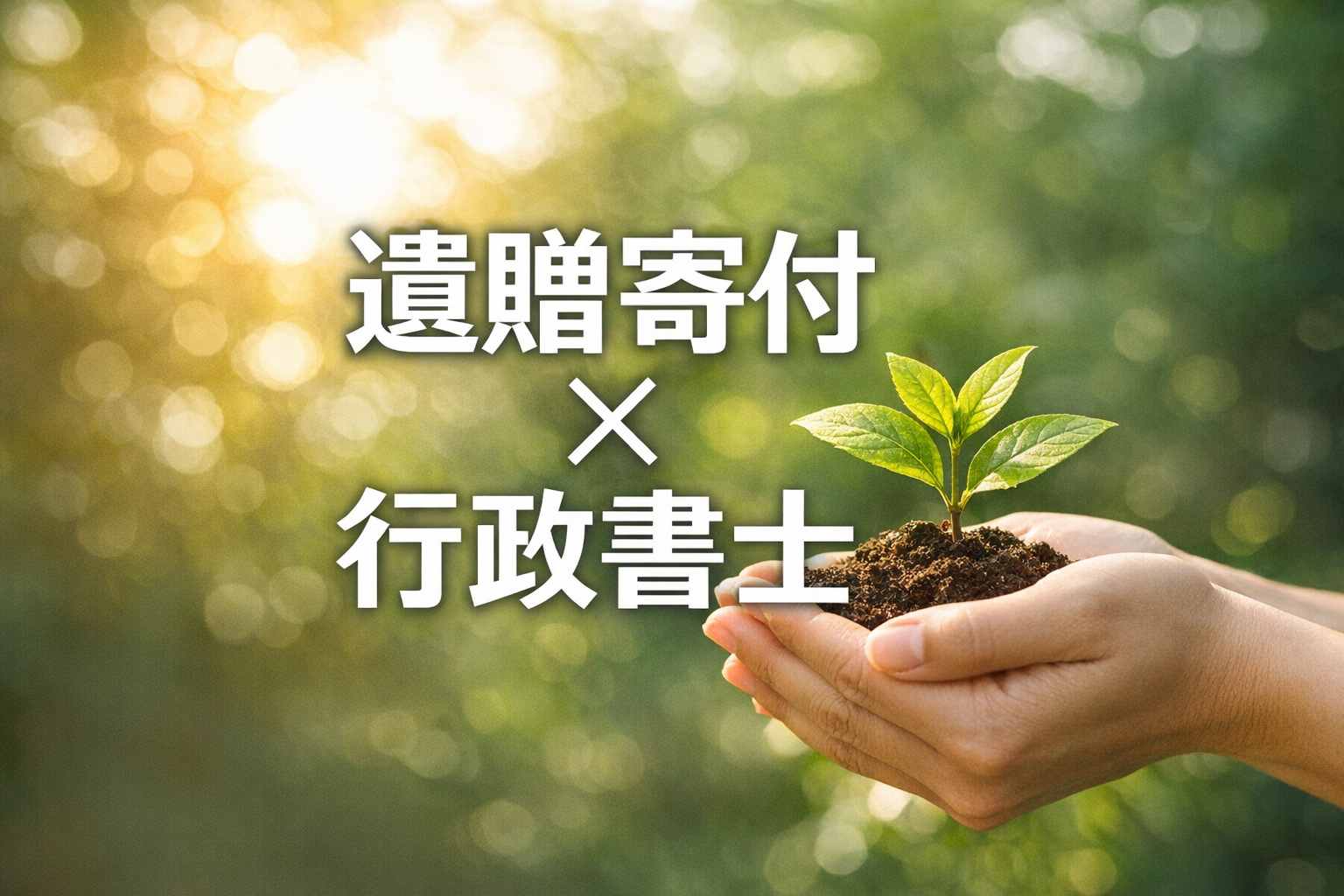 フリーウィルズ